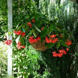 Meet your Posher, Lynn